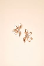10010031_0142_2-BRINCO-ESCOVADO-FLOR